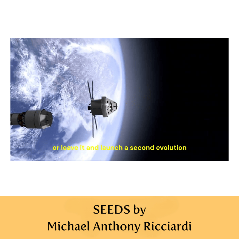 SEEDS by Michael Anthony Ricciardi